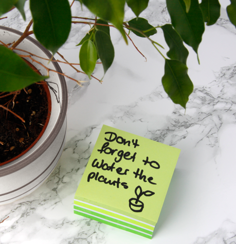 Welche Farben, Klebungen und Blöcke passen zu deinem Branding?