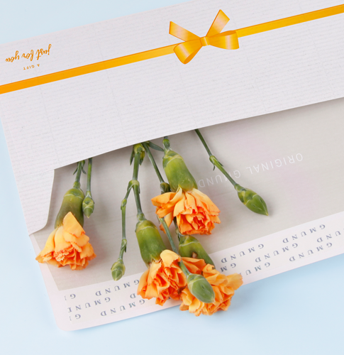 Warum ein Briefumschlag mehr ist als nur Verpackung